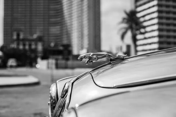 BetRegal Kasino Android/iOS aplikace